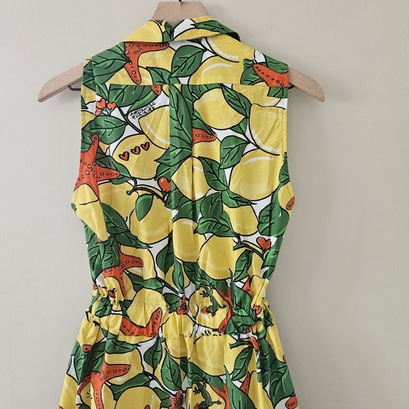 Alessandro Enriquez Lemon Print Fit and Flare Dress IT 42 NWT - Picture 11 of 14